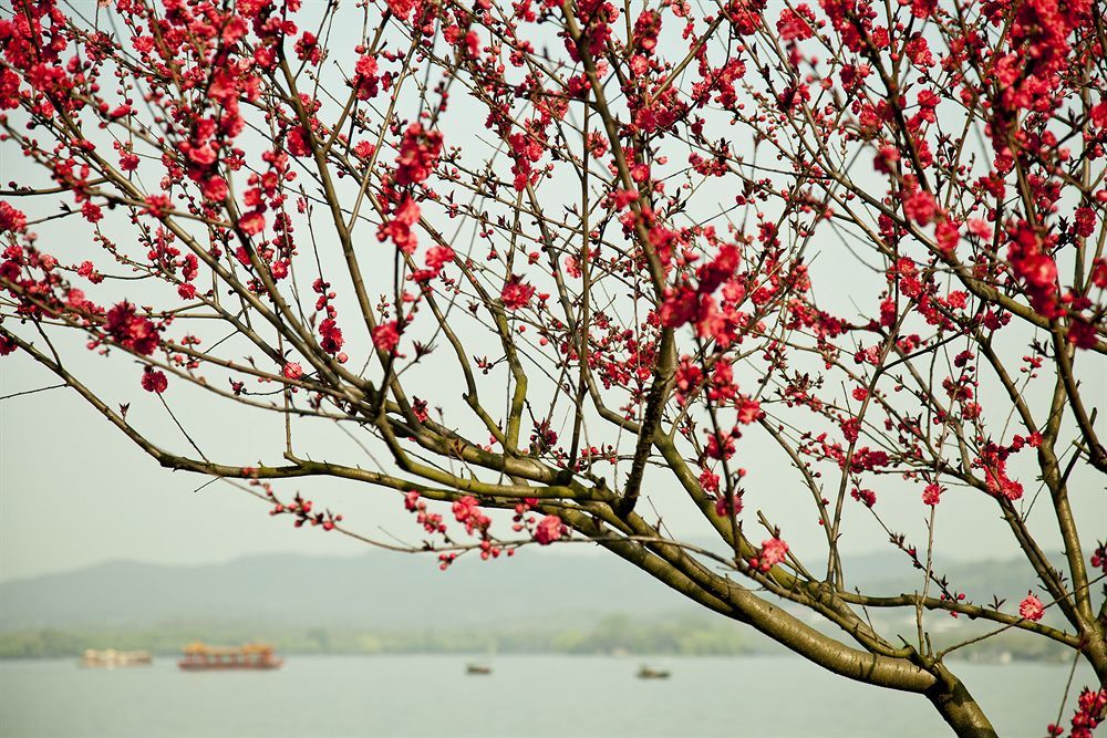 Liuying Hotel West Lake Hangzhou Esterno foto